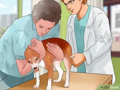 Image titled Prevent Dog Cancer Step 7