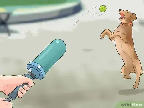 Image titled Care for Your Gun Dog Step 6