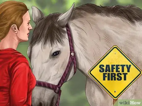 Image titled Heal a Cut on a Horse Step 11