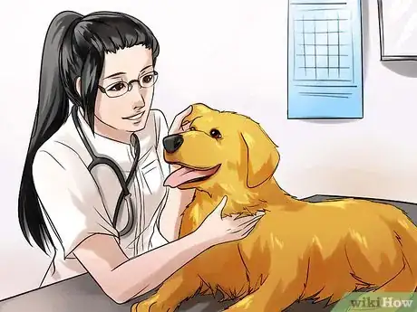 Image titled Adopt a Purebred Dog Step 11