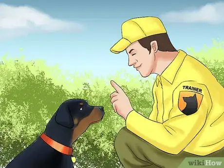 Image titled Know if You Can Care for a Rottweiler Step 6