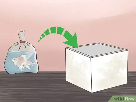 Image titled Transport Fish Step 8