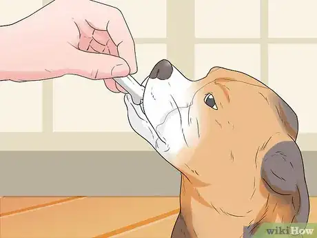 Image titled Train a Dog to Respond to Voice Commands Step 9