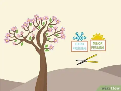 Image titled Prune Desert Rose Step 07