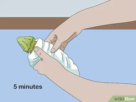 Image titled Give a Lizard a Bath Step 7