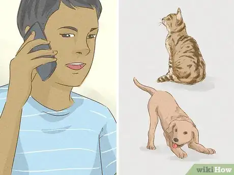 Image titled Help Animal Shelters During the Coronavirus Outbreak Step 3