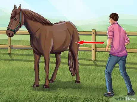 Image titled Clean a Horse's Hoof Step 3