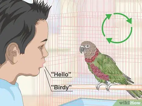 Image titled Teach a Hawk‐Headed Parrot to Speak Step 2