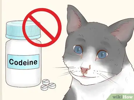 Image titled Give Codeine to Cats in Pain Step 4