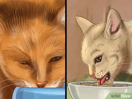 Image titled Treat Behavior Problems in Older Cats Step 2