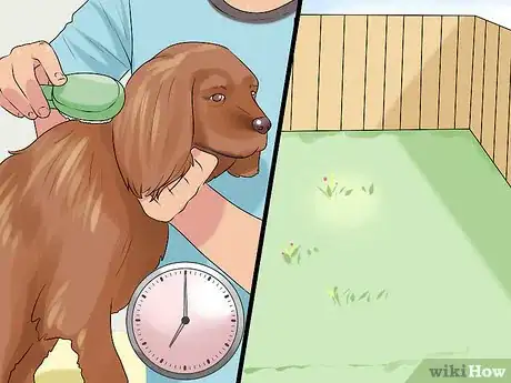 Image titled Choose a Dog for Older Kids Step 1