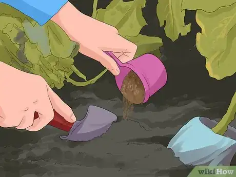 Image titled Fertilize Daffodils Step 1