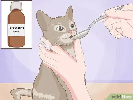 Image titled Treat a Cat With Asthma Step 8