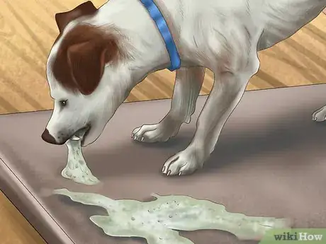 Image titled Handle a Little Dog with a Big Attitude Step 13