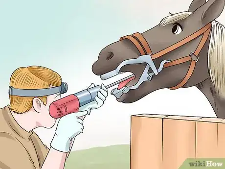 Image titled Care for a Gaited Horse Step 9