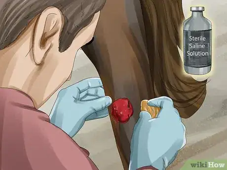 Image titled Prevent Botulism in Horses Step 6