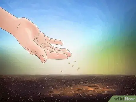 Image titled Grow Amaranth Flowers Step 4