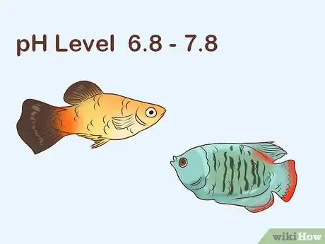Image titled Find Compatible Tank Mates for Guppies Step 4