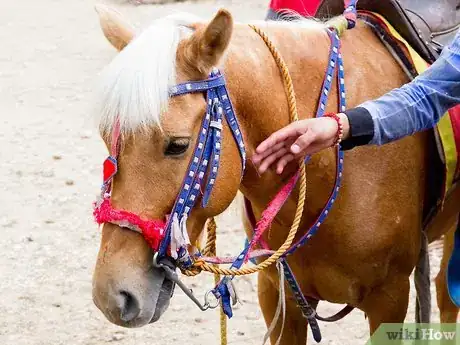 Image titled Behave Around a Horse Step 8