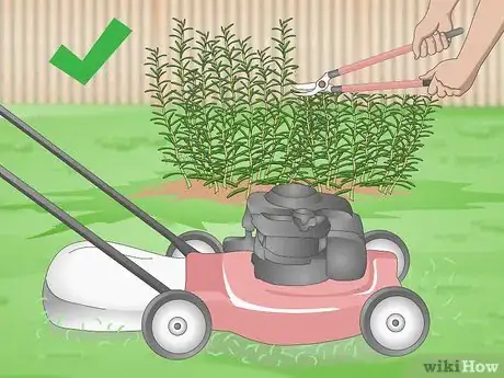 Image titled Treat Canine Tick Problems Step 21