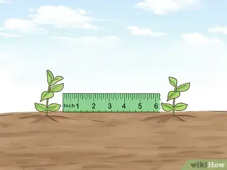 Image titled Plant Vinca Minor Step 12