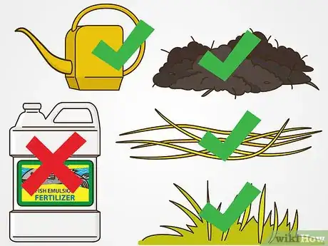 Image titled Maintain Roses Step 5