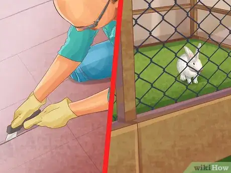 Image titled Protect Pets from Home Repair Dangers Step 5