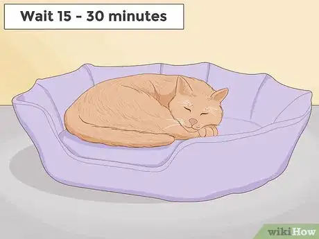 Image titled Treat a Cat With Asthma Step 9