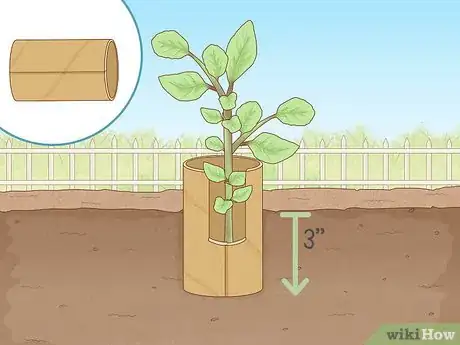 Image titled Identify Cutworm Damage Step 12