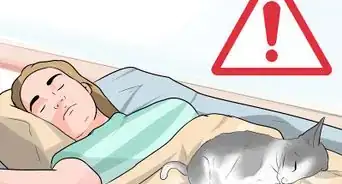 Settle Down for Bed Time