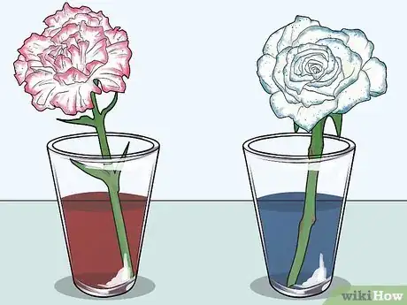 Image titled Change the Color of a Celery Stalk Step 15