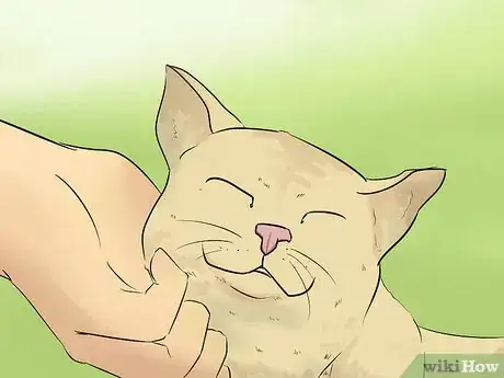 Image titled Stop a Fearful Cat from Biting Step 6