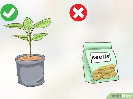 Image titled Plant Landscape Plants Step 8