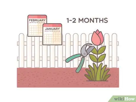 Image titled Store Bulbs Step 1