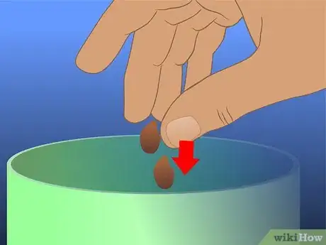 Image titled Save Watermelon Seeds for Planting Step 5