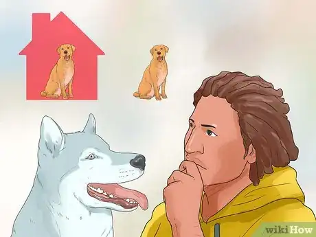 Image titled Take Care of an Alaskan Husky Step 17