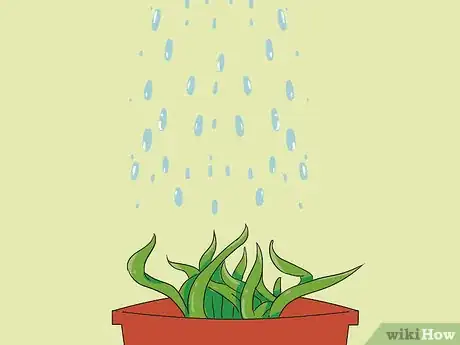 Image titled Propagate Baby Spider Plants Step 6