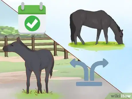 Image titled Wean a Foal Step 10