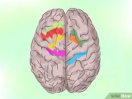 Image titled Remember the Seven Continents Step 7