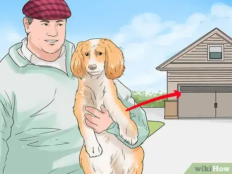 Image titled Choose an Active Dog Step 23
