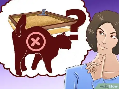 Image titled Train an Outdoor Cat to Use a Litter Box Step 17