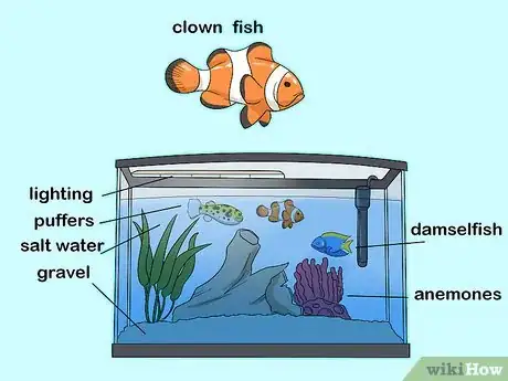 Image titled Ensure Your Pet Fish Are Healthy Step 7