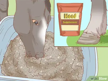 Image titled Prevent Laminitis in Horses Step 4