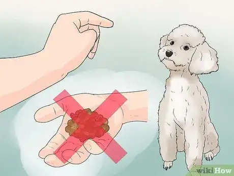 Image titled Teach a Dog to Read Sign Language Step 9