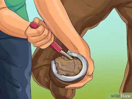 Image titled Clean a Horse's Hoof Step 6