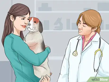 Image titled Treat Pica in Older Dogs Step 1