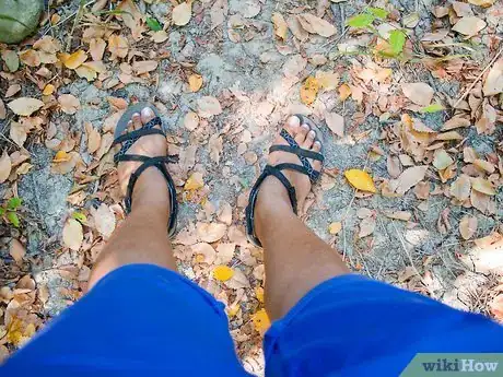 Image titled Nature Walk Step 2