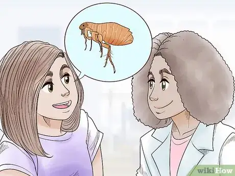 Image titled Deal with Persistent Feline Flea Problems Step 14