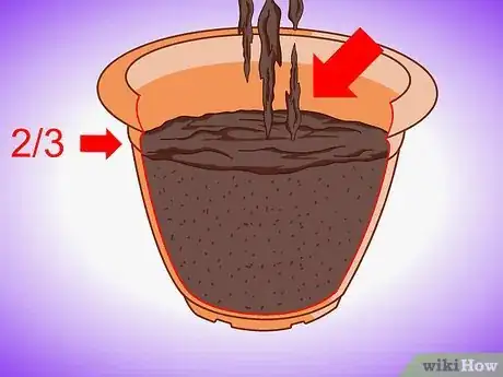 Image titled Plant Aquatic Plants Step 11