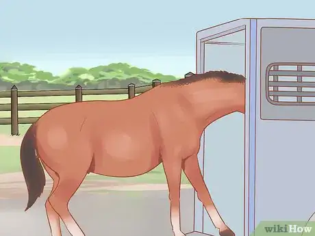 Image titled Wean a Foal Step 12